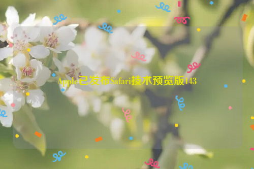 Apple已发布Safari技术预览版143