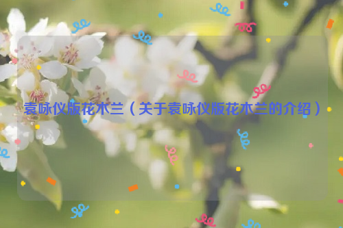 袁咏仪版花木兰（关于袁咏仪版花木兰的介绍）