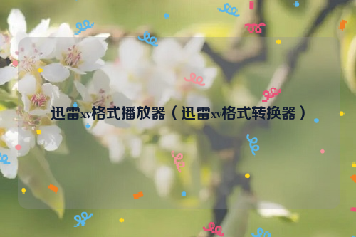 迅雷xv格式播放器（迅雷xv格式转换器）