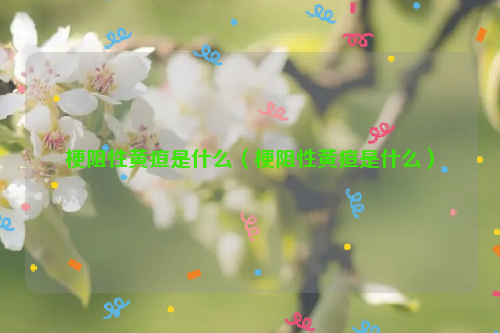 梗阻性黄疸是什么（梗阻性黄疸是什么）