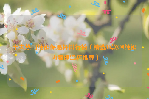 十大热门纯银保温杯排行榜（精选10款999纯银内胆保温杯推荐）
