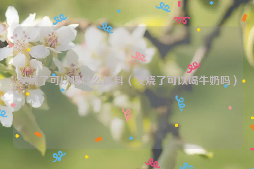 发烧了可以喝什么饮料（发烧了可以喝牛奶吗）