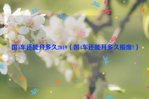 国4车还能开多久2019（国4车还能开多久报废?）
