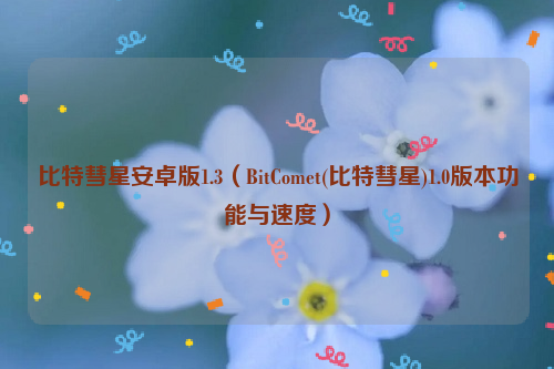 比特彗星安卓版1.3（BitComet(比特彗星)1.0版本功能与速度）