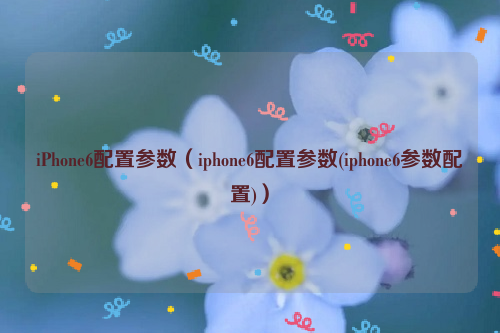 iPhone6配置参数（iphone6配置参数(iphone6参数配置)）