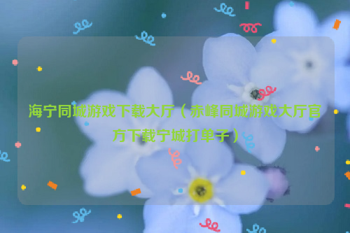 海宁同城游戏下载大厅（赤峰同城游戏大厅官方下载宁城打单子）