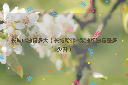 长城H5油箱多大（长城哈弗h5柴油版油箱是多少升）