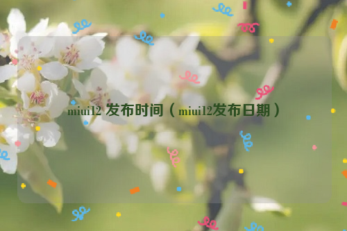 miui12 发布时间（miui12发布日期）