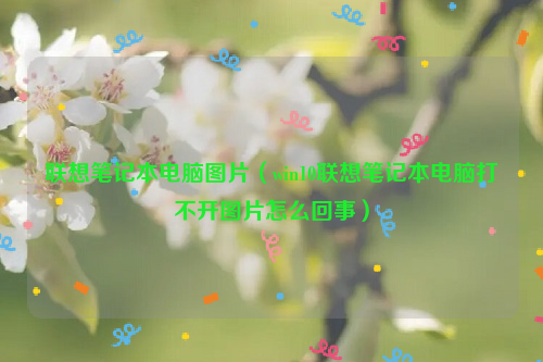 联想笔记本电脑图片（win10联想笔记本电脑打不开图片怎么回事）