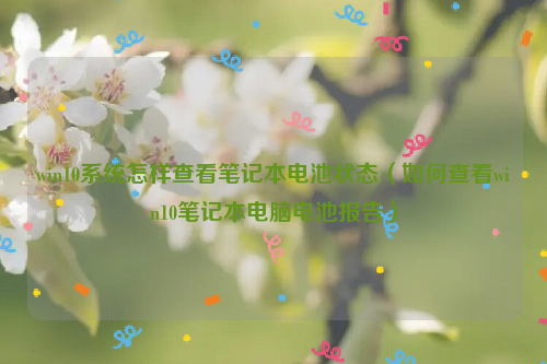 win10系统怎样查看笔记本电池状态（如何查看win10笔记本电脑电池报告）