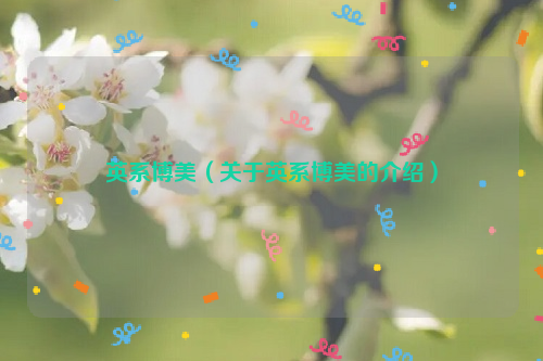 英系博美（关于英系博美的介绍）