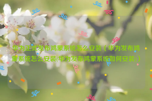 华为正式发布鸿蒙系统怎么安装（华为发布鸿蒙系统怎么安装(华为发布鸿蒙系统如何安装)）