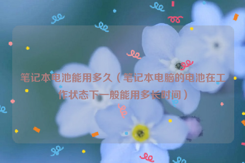 笔记本电池能用多久（笔记本电脑的电池在工作状态下一般能用多长时间）