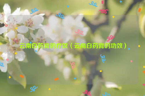 云南白药膏的疗效（云南白药膏的功效）