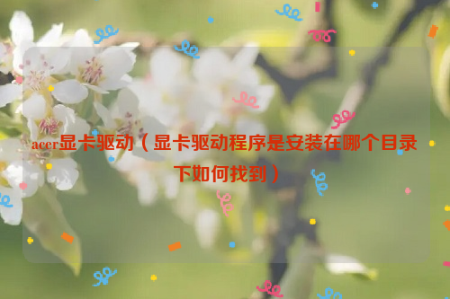 acer显卡驱动（显卡驱动程序是安装在哪个目录下如何找到）