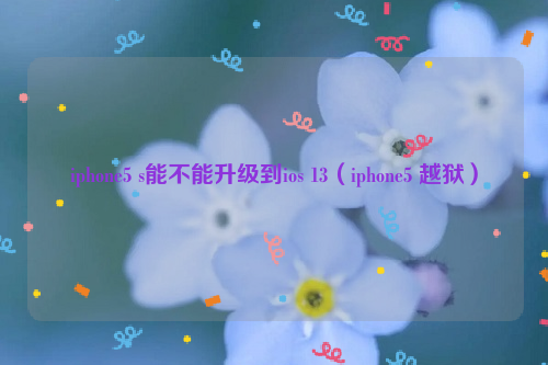 iphone5 s能不能升级到ios 13（iphone5 越狱）