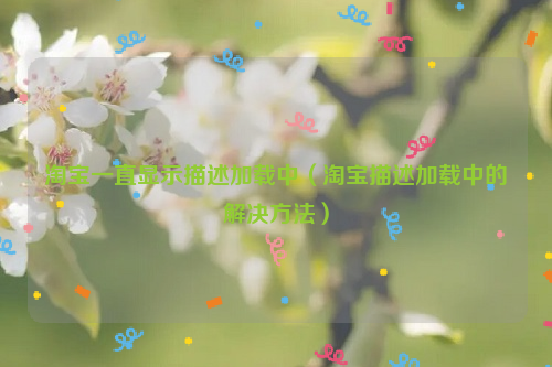 淘宝一直显示描述加载中（淘宝描述加载中的解决方法）