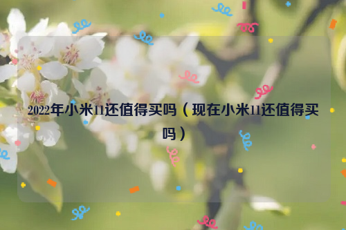 2022年小米11还值得买吗（现在小米11还值得买吗）
