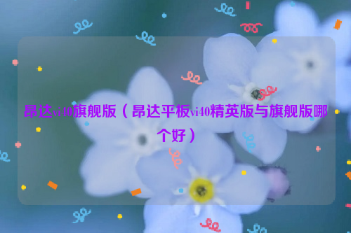 昂达vi40旗舰版（昂达平板vi40精英版与旗舰版哪个好）