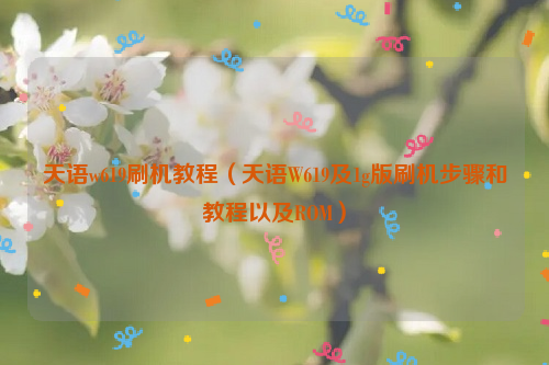天语w619刷机教程（天语W619及1g版刷机步骤和教程以及ROM）