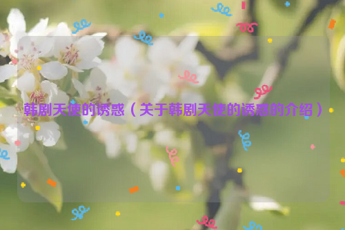 韩剧天使的诱惑（关于韩剧天使的诱惑的介绍）
