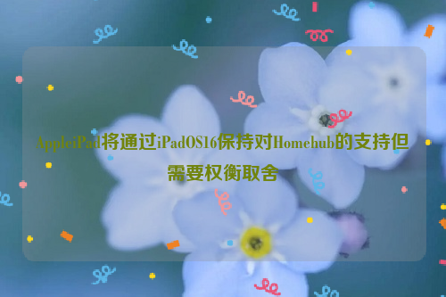 AppleiPad将通过iPadOS16保持对Homehub的支持但需要权衡取舍