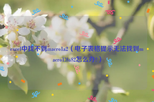 excel中找不到macro1a2（电子表格提示无法找到macro1!$a$2怎么办?）