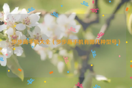 步步高手机大全（步步高手机有哪几种型号）