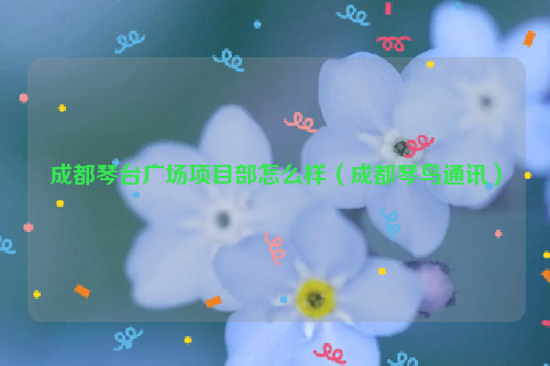 成都琴台广场项目部怎么样（成都琴鸟通讯）