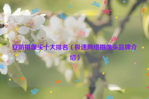 安防摄像头十大排名（极速网络摄像头品牌介绍）