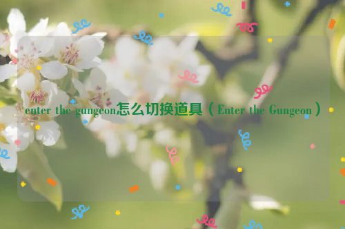 enter the gungeon怎么切换道具（Enter the Gungeon）