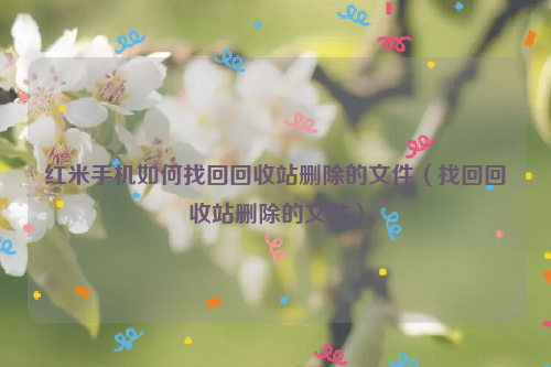 红米手机如何找回回收站删除的文件（找回回收站删除的文件）