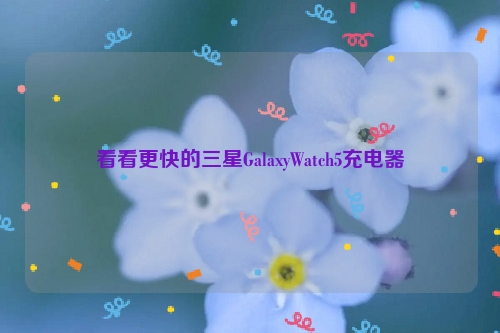 看看更快的三星GalaxyWatch5充电器