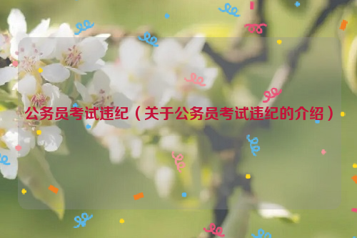 公务员考试违纪（关于公务员考试违纪的介绍）