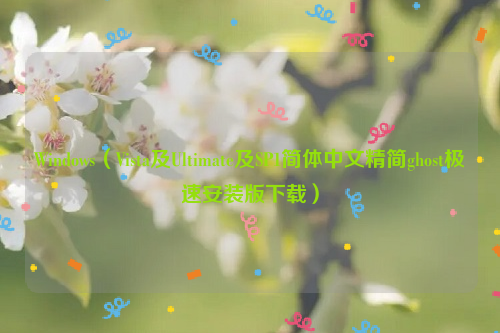 Windows（Vista及Ultimate及SP1简体中文精简ghost极速安装版下载）