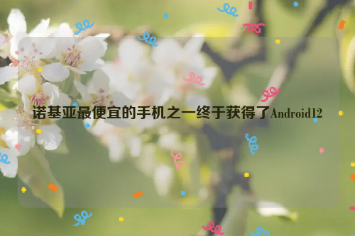 诺基亚最便宜的手机之一终于获得了Android12