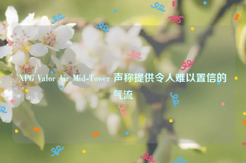 XPG Valor Air Mid-Tower 声称提供令人难以置信的气流