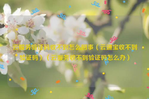 云服务验证码收不到怎么回事（云通宝收不到验证码）（云服务收不到验证码怎么办）
