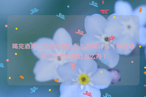 喝完酒第二天恶心想吐怎么办喝什么（喝完酒第二天恶心想吐怎么办）
