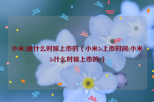 小米3是什么时候上市的（小米3s上市时间(小米3s什么时候上市的)）