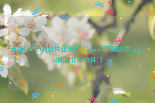 支持iphone4的软件还有吗（iphone4实用软件(iphone4能用什么软件)）