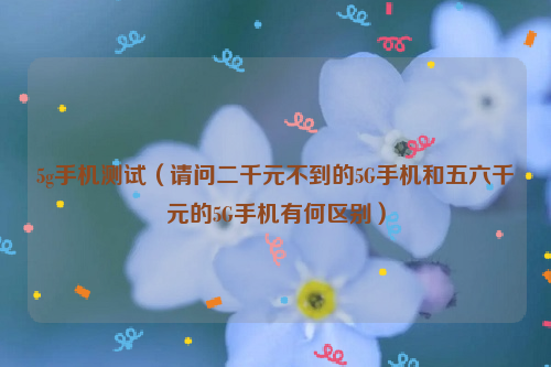 5g手机测试（请问二千元不到的5G手机和五六千元的5G手机有何区别）
