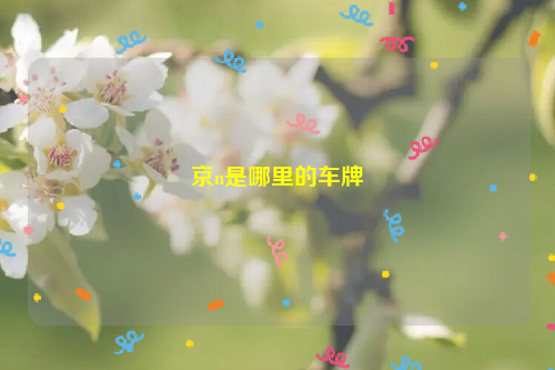 京n是哪里的车牌