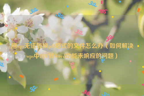 用wps无法转换pdf格式的文件怎么办（如何解决wps中PDF转Word功能未响应的问题）