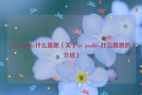 say goodbye什么意思（关于say goodbye什么意思的介绍）