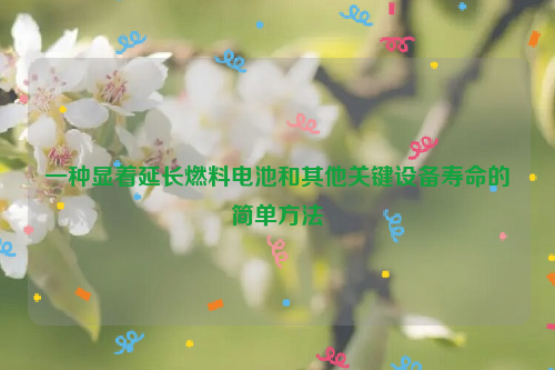 一种显着延长燃料电池和其他关键设备寿命的简单方法