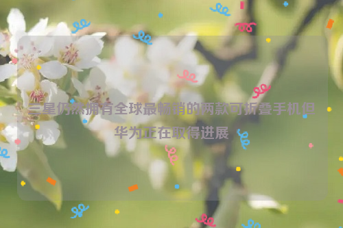 三星仍然拥有全球最畅销的两款可折叠手机但华为正在取得进展
