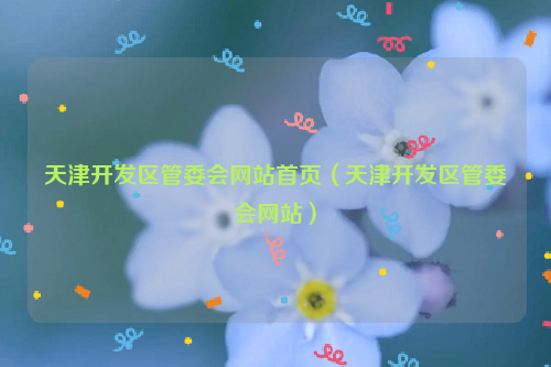 天津开发区管委会网站首页（天津开发区管委会网站）