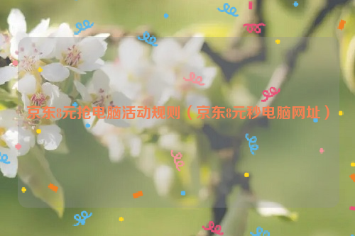 京东8元抢电脑活动规则（京东8元秒电脑网址）