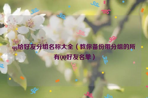 qq给好友分组名称大全（教你备份带分组的所有QQ好友名单）